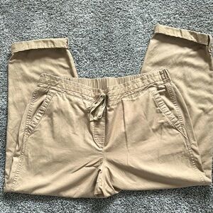 Talbots Tan Straight Leg Pants